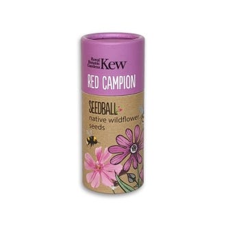 Kew Wildflowers Seedball Tube, Red Campion