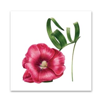 Billy Showell Red Hollyhock Shoe Greeting Card