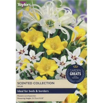 Scented Bulbs Collection