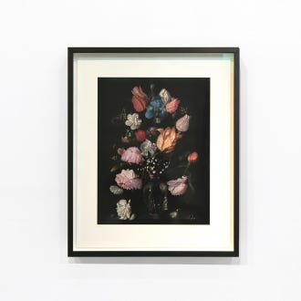 Mat Collishaw Signed Print - Framed, Senseless Universe