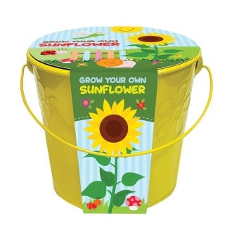 Kids Grow Your Own Sunflowers in a Bucket from Taylors Bulbs
