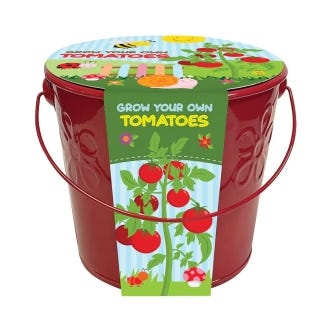 Kids Grow Your Own Tomatoes in a Bucket from Taylors Bulbs