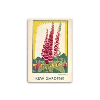 TFL Foxgloves Bamboo Magnet