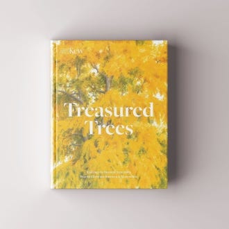 Treasured Trees book cover with illustration of a Ginkgo tree
