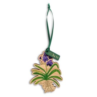Kew Vanda Orchid Bamboo Decoration