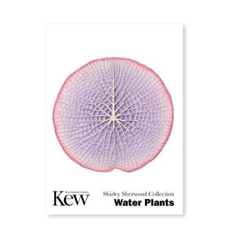Set of 6 Concertina Water Plants Postcards