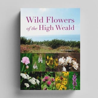Wild Flowers of the High Weald - cover
