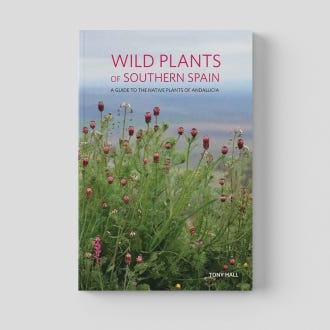 Wild Plants of Southern Spain: A Guide to the Native Plants of Andalucia - cover