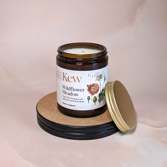 Kew x Aery Jar Candle, Wildflower Meadow