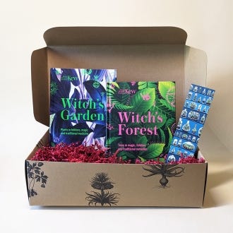 Witch's wisdom gift box