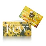 Child Gift Ticket - Valid for 1 year