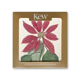 Kew Christmas Cards Poinsettia pack of 6