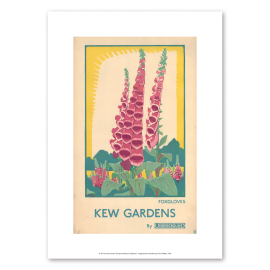Foxgloves at Kew Gardens TFL A4 Print