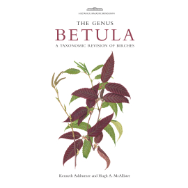 The Genus Betula : A Taxonomic Revision of Birches - cover