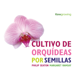 Cultivo de Orquideas por Semillas