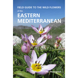Field Guide to the Wild Flowers of the Eastern Mediterranean - cover image