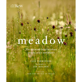 Meadow - cover