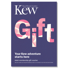 Kew Adult Membership Voucher