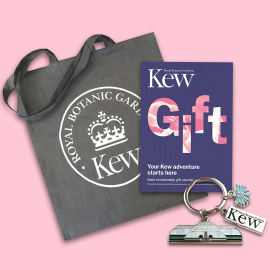 Adult Gift Membership, Palm House Keyring & Tote Bag