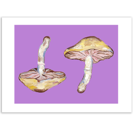 image of two painted mushrooms on a purple background