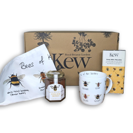 Bees of Kew Christmas Gift Box