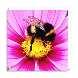Bee on Pollen Chrissie Greeting Card - front