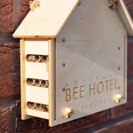 Beevive Bee Hotel Kit