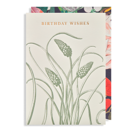 Kew birthday wishes card