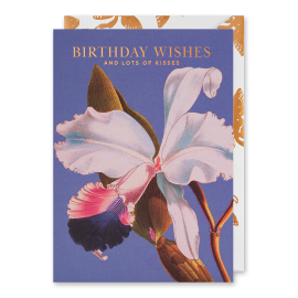 Kew Birthday Kisses Greeting Card