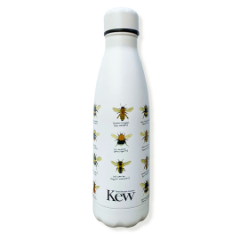 Bees of Kew Thermos Waterbottle with bee illustration of different bees found around Kew and their names. Kew logo featured on bottle. Reverse side features the bee design and description 'Bees of Kew Gardens'.