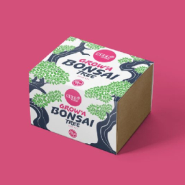 Bonsai Plants Seed Kit