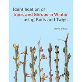 Identification of Trees and Shrubs in Winter Using Buds and Twigs - cover