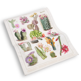 Cactus Tea Towel featuring colourful illustrations of different varieties of cacti. Kew logo featured in top right of tea towel.