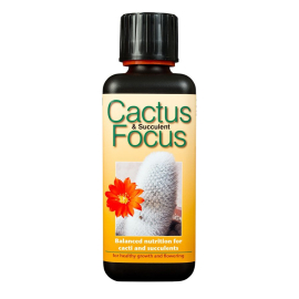 Cactus Focus 300ml