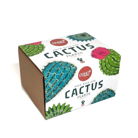 Cactus plants seed kit