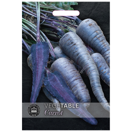 front packet of Carrot Purple Sun 