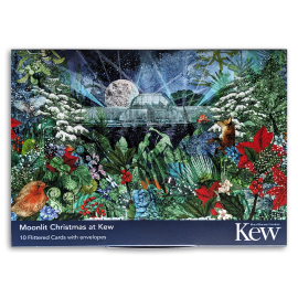 Kew Christmas Cards Moonlit Christmas at Kew, Pack of 10