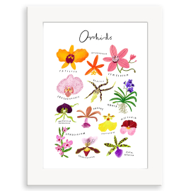 Framed Clara Orchids A3 Print