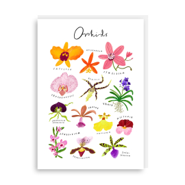 Clara Orchids Greeting Card