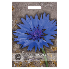 Cornflower Centaurea cyanus Blue Boy Seed Packet