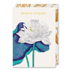 Kew Deepest Sympathy Greeting Card featuring a white waterlily flower