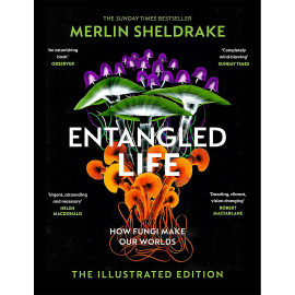 Entangled Life Illustrated Edition