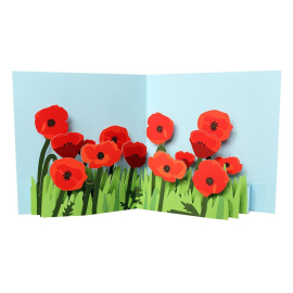 Poppies Pop Up Card