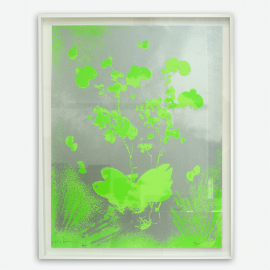 Forecourt Large Screen Print, Green
