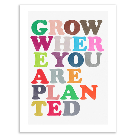 Grow Where Planted, A3 Print
