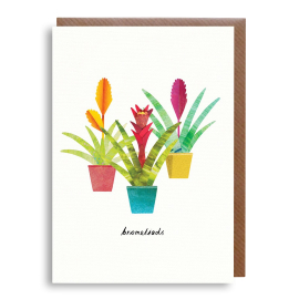 Bromeliads Plant Greeting Card