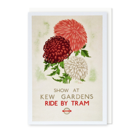 Chrysanthemums at Kew TFL Greeting Card