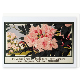 Rhododendrons at Kew TFL Greeting Card
