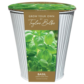 Grow Your Own, Basil Indoor Zinc Planter