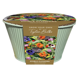 Grow Your Own, Edible Flowers Indoor Zinc Bowl
